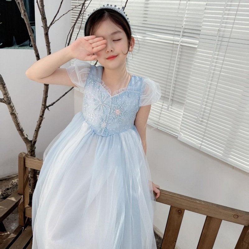 Besticktes Elsa Mädchen Kleid  – Baby Clothing Dresser Bewertung und Preis