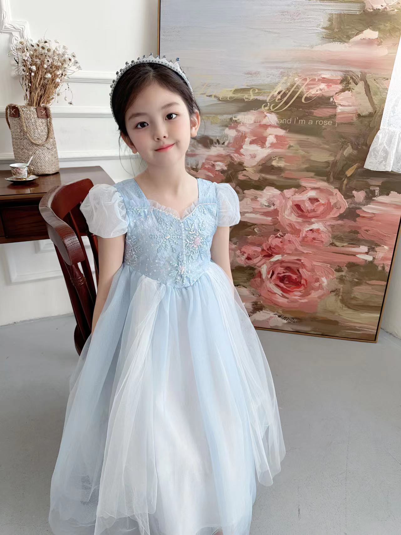 Besticktes Elsa Mädchen Kleid  – Baby Clothing Dresser Bewertung und Preis
